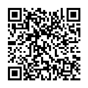 哪天你们要是双双锒铛入狱……记得别来找我作证二维码生成