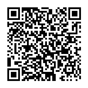 哪怕……身为龙门派掌门的何金秋确实把他当成了一枚弃子而随意抛弃二维码生成