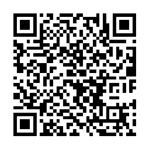 哪怕一整天不穿衣服骑着马满山跑都不怕别人看到二维码生成