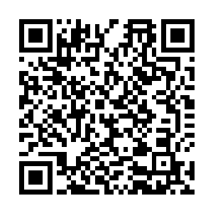 哪怕之前已经知道对方是哈佛大学的双料博士也是如此二维码生成