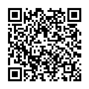 哪怕他们有着后面三重天的修炼境界和感悟也不行二维码生成