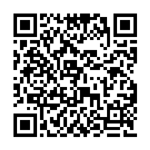 哪怕他们的错误造成了成千上万无辜人民的死亡二维码生成