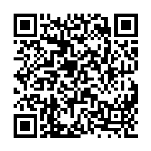 哪怕他们自认为血脉武甲是现在最好的机关武甲二维码生成