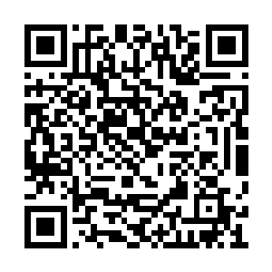 哪怕他在很小的时候就被公认为最擅长战斗的人二维码生成