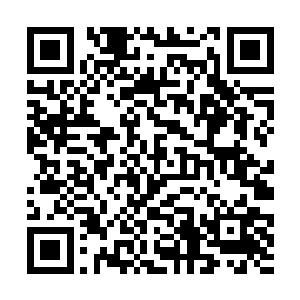 哪怕他拥有五行虫这种能够克制对方神通的上古奇虫二维码生成
