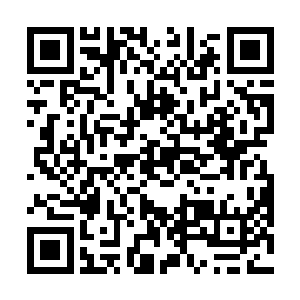 哪怕他早就做好了井家甚至整个海崖古地都失败的准备二维码生成