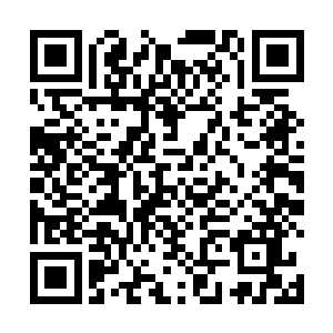 哪怕他能拿到那柄传说中专门克制最终鬼母的降魔之剑二维码生成