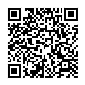 哪怕共度良宵也是般若的荣幸……不过……能不能先请你把二维码生成