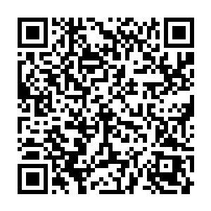 哪怕只是一瞬间吸收的元力都会把这些大修士吸成距离干也差不多二维码生成