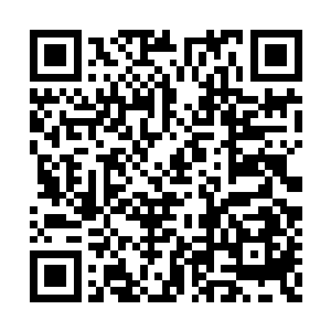 哪怕只是下城的护城战士也确实对部落大有好处二维码生成