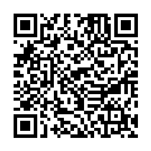 哪怕只有这些人也根本就不是他们两个人能够对付得了的二维码生成