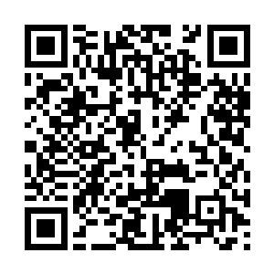 哪怕在最艰苦的环境下也竭力凑出些好吃食好器物二维码生成