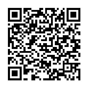 哪怕坤天的战力比圣界许多无极境六重天都还要强二维码生成