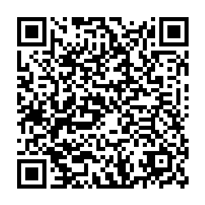 哪怕天赋再怎么超凡当然也不可能如此轻易的轰杀数只6阶恐爪龙二维码生成