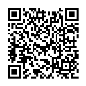 哪怕她们的工作待遇优越的让许多男人眼红加脸红二维码生成