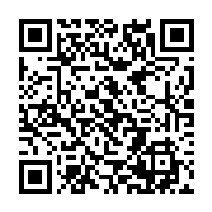 哪怕她平心静气将之前发生的一切细细在脑海里回想二维码生成