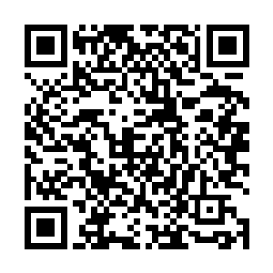 哪怕就只是为了那一张与她前世妈妈长得一模一样的脸二维码生成