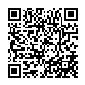 哪怕张潇晗早已经练就的铁石心肠也禁不住伤痛起来二维码生成
