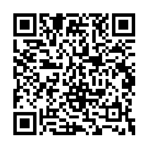 哪怕整个王宫里到处都是人　但是她依旧是孤儿二维码生成