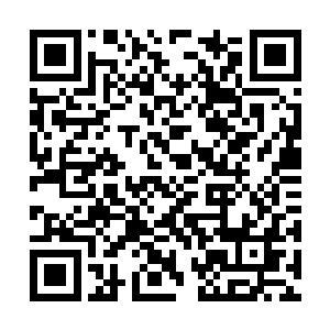 哪怕是一个小小的配角也成为众多记者追逐的对象二维码生成