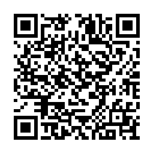 哪怕是一个平民都有可能从一群丧尸中逃出生天二维码生成