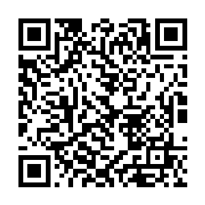 哪怕是一些根基强大的古神在里面方面可以媲美神王二维码生成