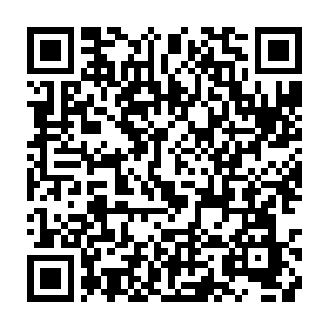 哪怕是亲兄弟也是没用的……比如曲元良跟他的大哥的感情就不算是很好二维码生成