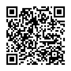 哪怕是他已经数次感应到飘荡在这片空间的古老印记二维码生成