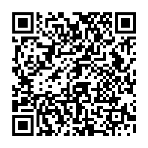 哪怕是传说中的神武境界的高手恐怕都要费上一番手脚才能够将他们彻底的降服二维码生成