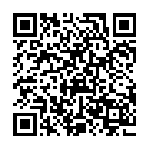 哪怕是修为较低的修士也能够看出许紫烟不是那只混沌兽的对手二维码生成