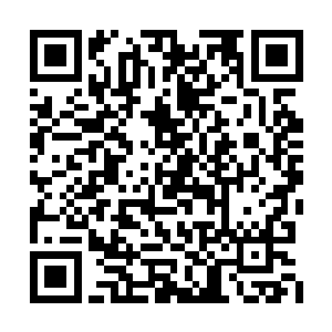 哪怕是像融合了这鬼王令的星王也无法动用而已二维码生成