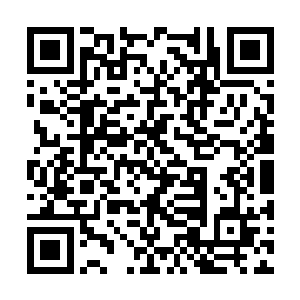 哪怕是冥王佣兵团的人已经可以攻击出雷电之力了二维码生成