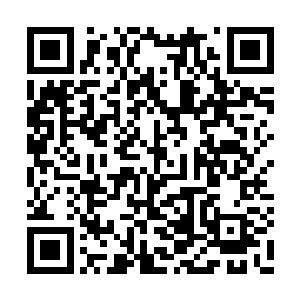 哪怕是卡加斯学院中的老师都知道了剑尘的名字二维码生成