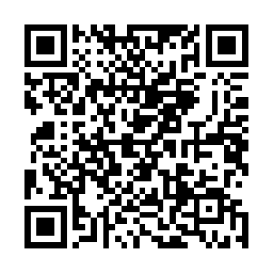 哪怕是在全城一点一点的搜索我也要将这林大圣给挫骨扬灰二维码生成