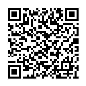 哪怕是在外面也能够感受到血色光芒带来的威压二维码生成