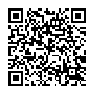 哪怕是在整个寰宇大世界之中也绝对是最顶尖的存在二维码生成