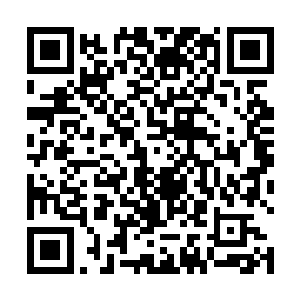哪怕是境关圆满的强者前来袭击也需要耗费一定的时间二维码生成