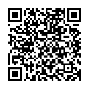 哪怕是境界比我高上数个层次的强者也无法完全瞒过我的搜索二维码生成