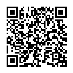 哪怕是大魔王飞科在许多比赛中都会放弃自己擅长的刺客型英雄二维码生成