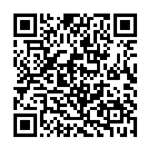 哪怕是天路王朝最为高明的浮云大师亲自指点陆妙心二维码生成