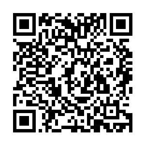 哪怕是寻常圣域巅峰五重天强者也为之忌惮的威压轰然降临二维码生成