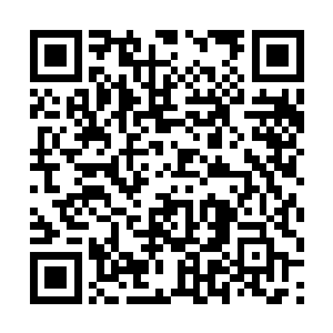 哪怕是小人物都有可能绊倒如长公主殿下这般的贵人二维码生成