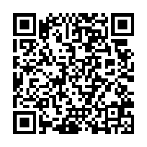 哪怕是明知道以自己目前的状态根本不可能击杀秦方二维码生成