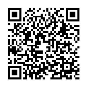 哪怕是更加懒散不理世事的伊布都比她果断很多呢……二维码生成