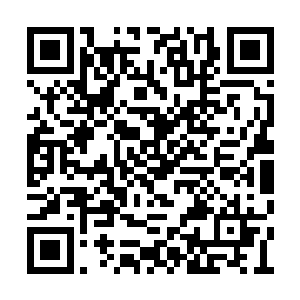 哪怕是最年轻的修炼到金丹期也有至少百岁以了二维码生成