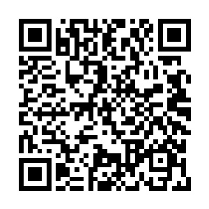 哪怕是服用了紫云仙桃外加大量珍贵的天材地宝二维码生成