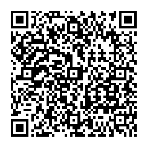 哪怕是楚旬以吞噬之力和辐射之力所凝聚出来的黑光和红光竟然都无法抵挡这幽冥鬼火的吞噬二维码生成
