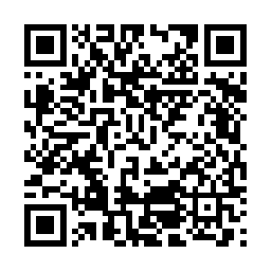 哪怕是横扫寰宇天界的那些普通的一流势力都不是不可能二维码生成