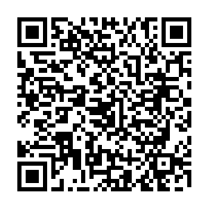 哪怕是玄黄宇宙的那些顶尖宗门的宗主和长老见到了都要客客气气的存在二维码生成