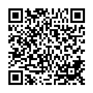 哪怕是真正的天尊高手来到了这里也要受到龙傲天的压制二维码生成